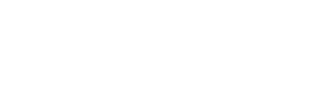 Partner 4
